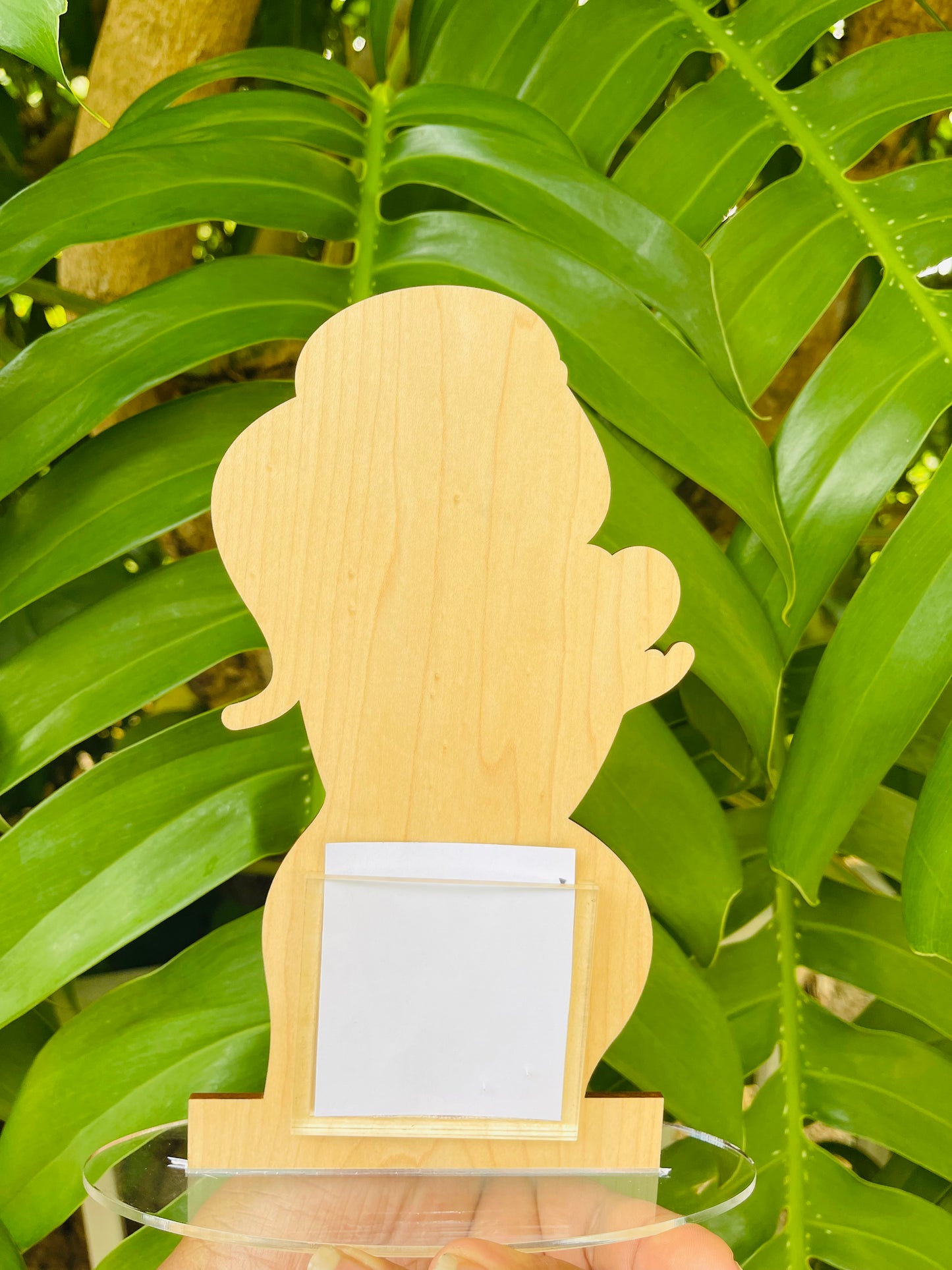 Ultrasound Sonogram Frame Pregnancy Gender Reveal