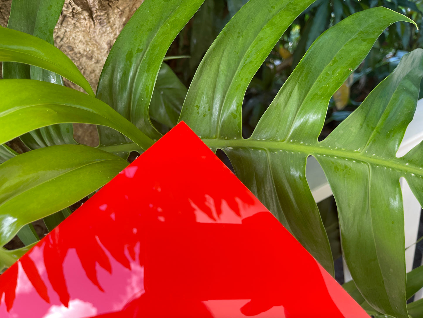 “Best Nurse Ever” XMAS Ornament