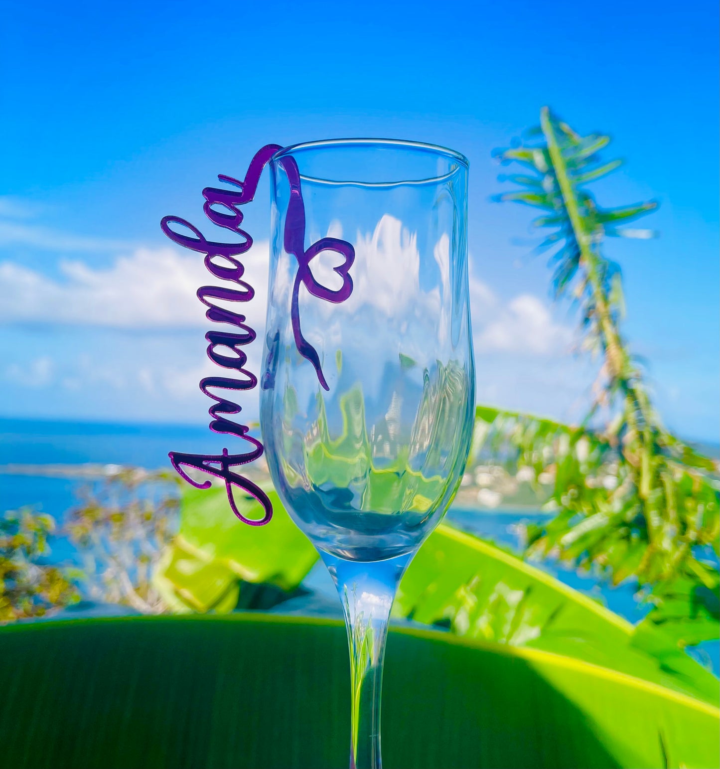 Deluxe Wine Glass Charm (Extra pieces)