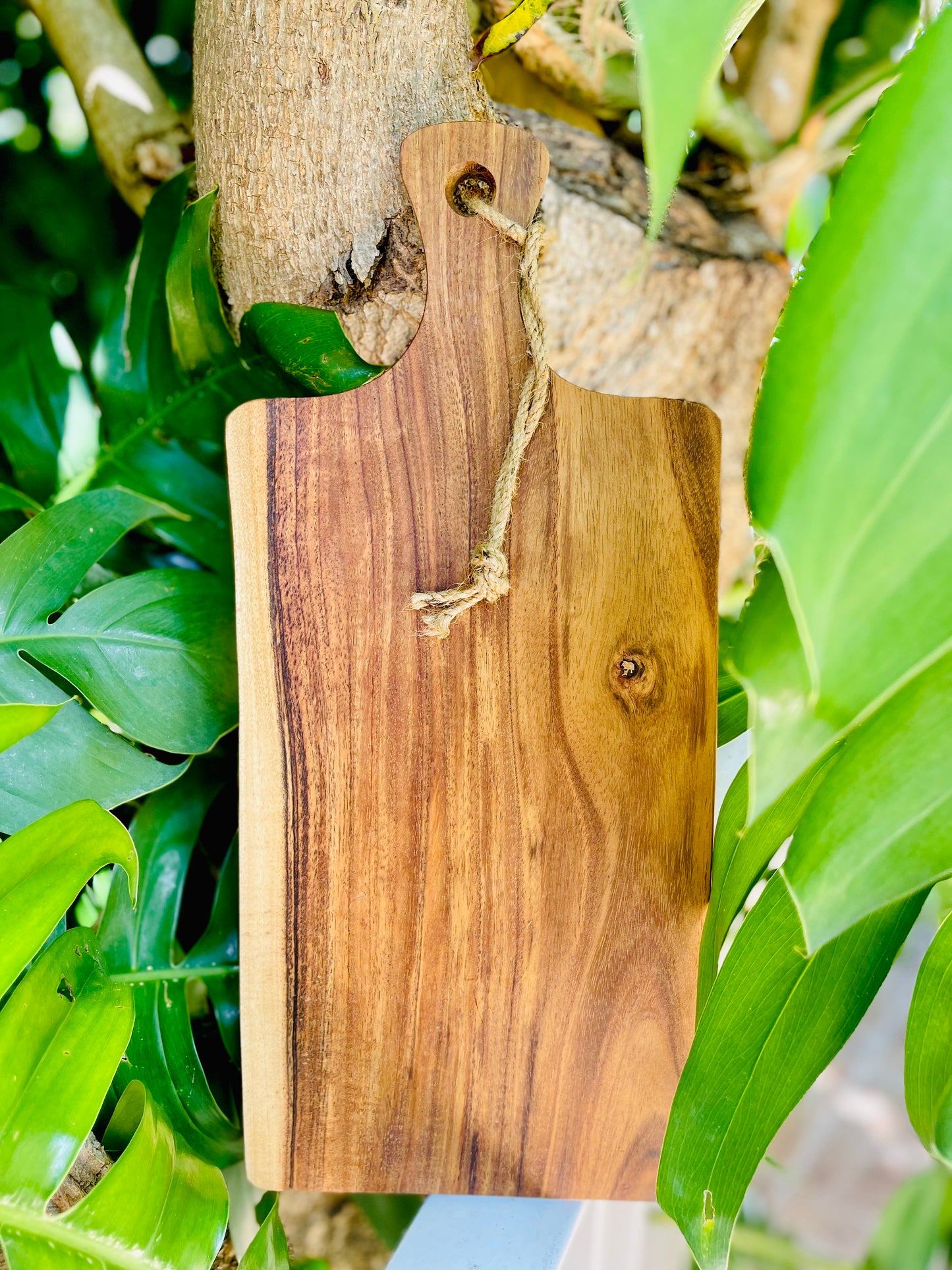 Single Medium Fishtail Live Edge Acacia Board