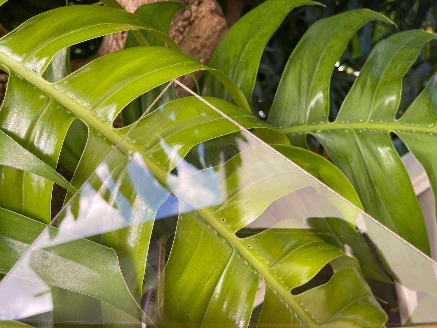 “Best Nurse Ever” XMAS Ornament